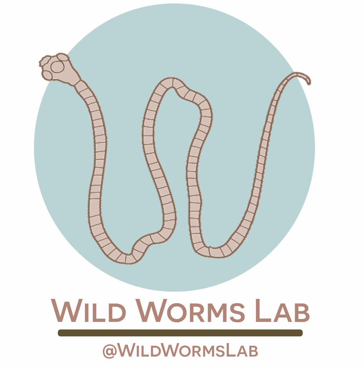 Wild Worms Lab